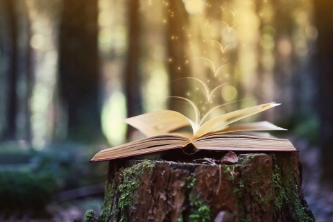book in forest