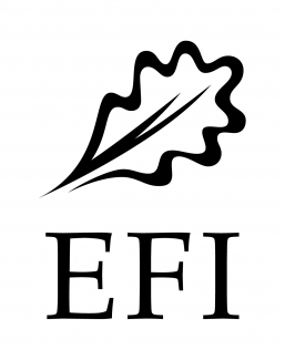 EFI logo