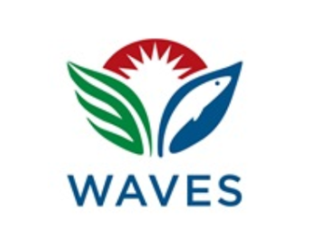 WAVES logo