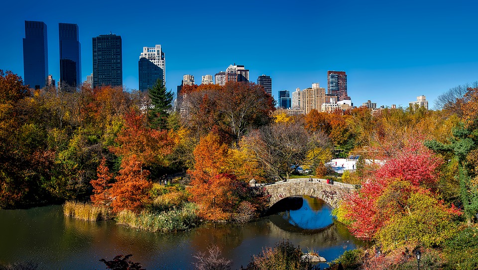 Central Park Central Park