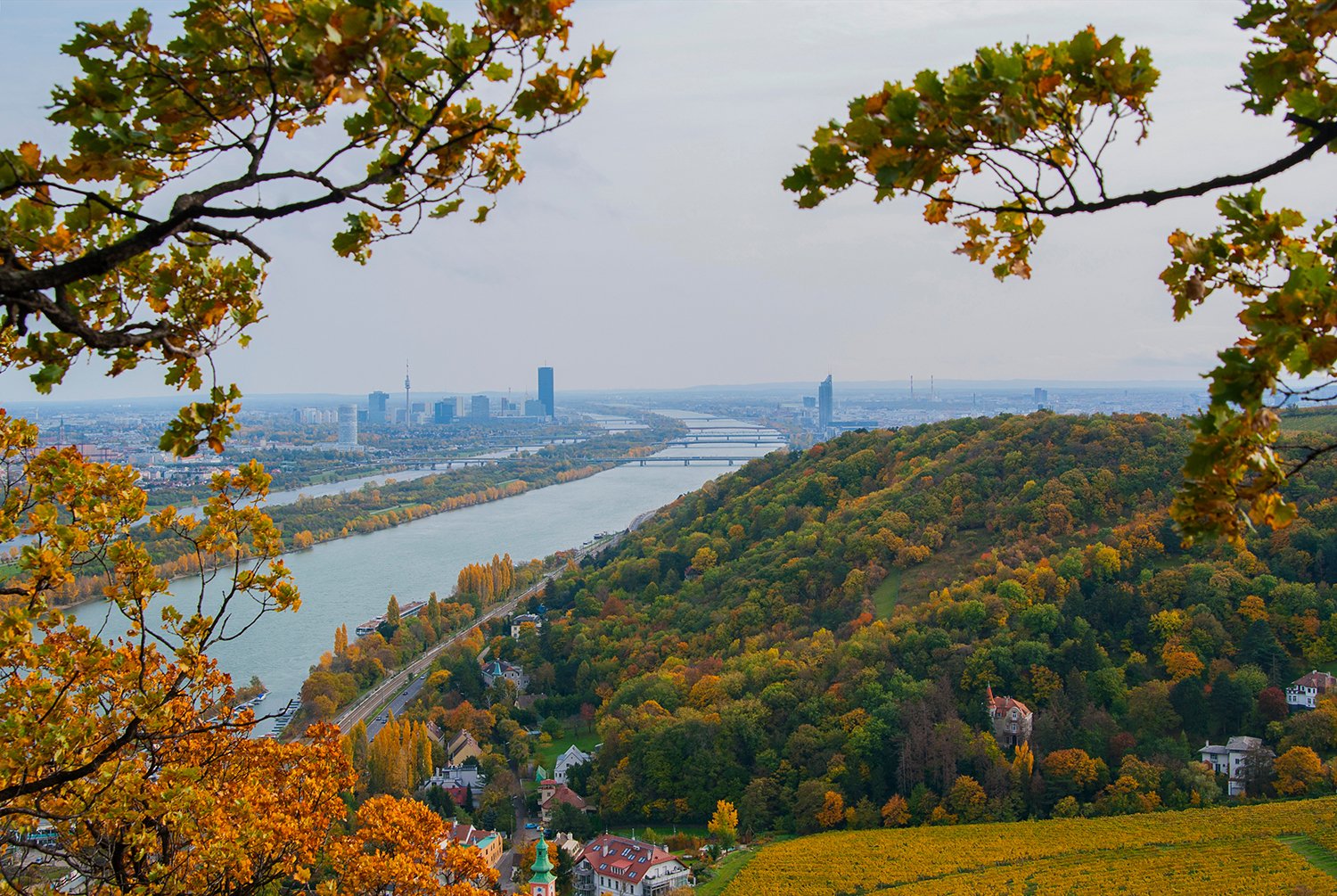 View of the Danube River and the city of Vienna, Austria on an autumn day