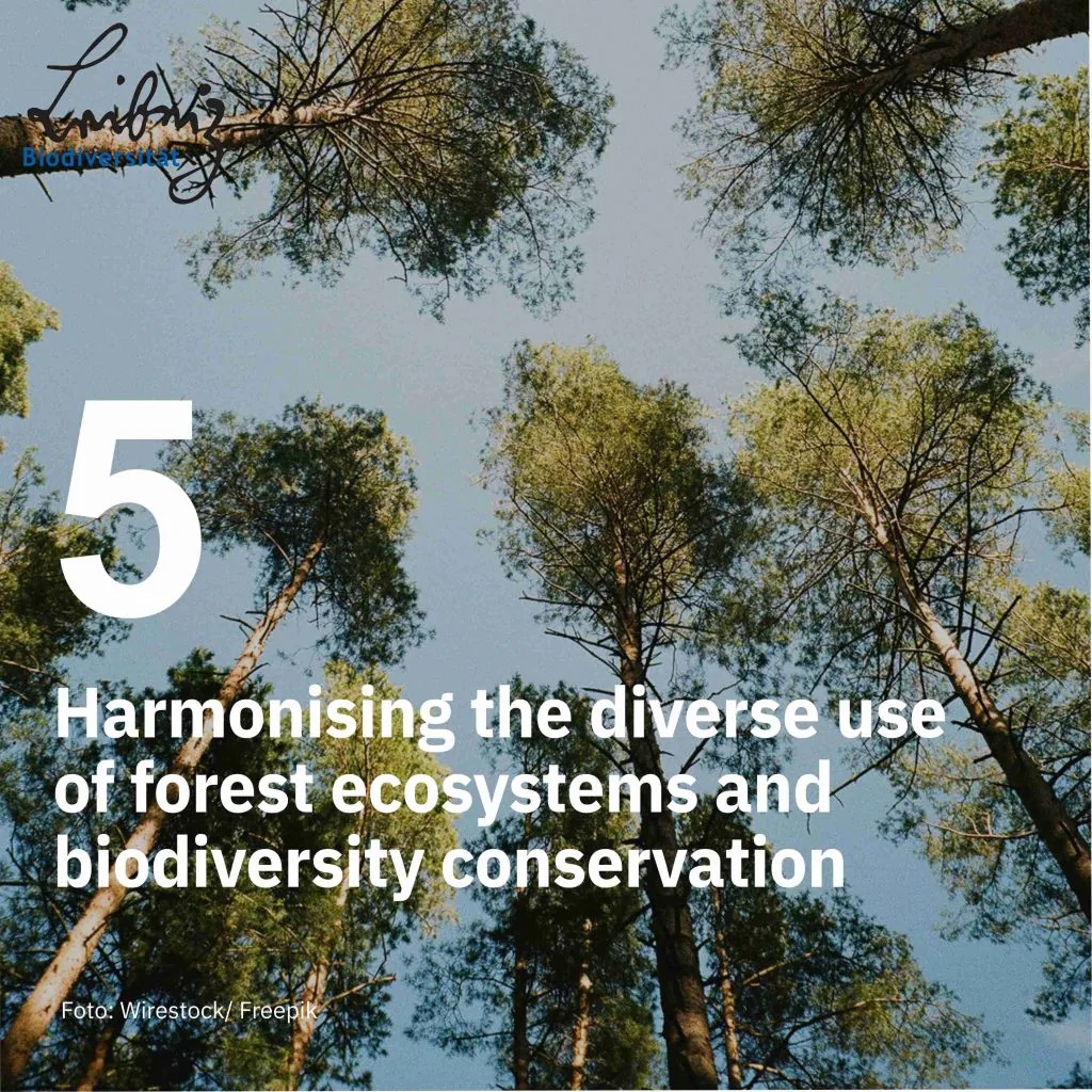 Harmonising the diverse use of forest ecosystems and biodiversity conservation