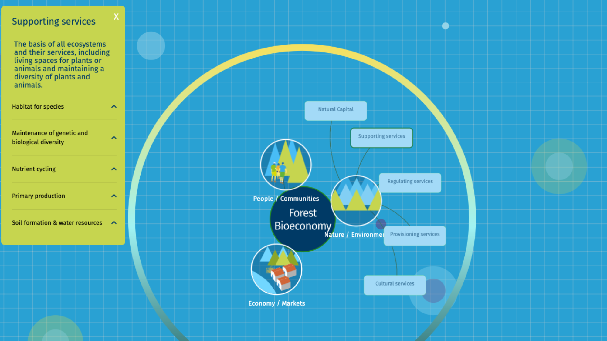 Forest bioeconomy map illustration