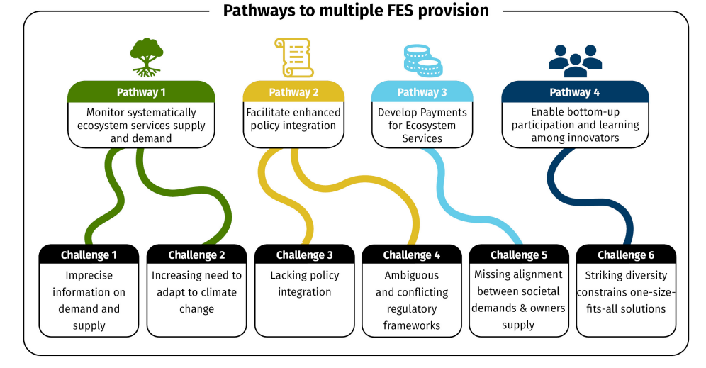 Pathways to multiple FES provision graph
