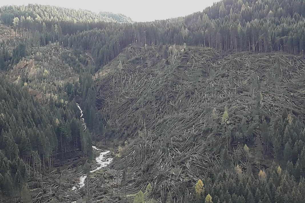 Aftermath of storm Vaia