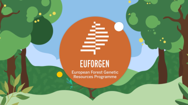 EUFORGEN 30 year anniversary video