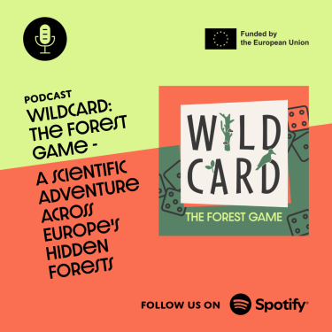 WILDCARD: The Forest Game