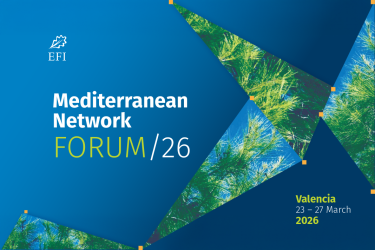 EFI Mediterranean Forum 2026