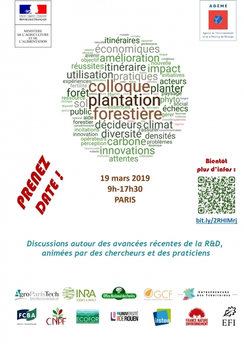 Colloquium on forest plantation