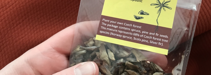 Seeds
