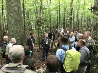 Excursion to the forest