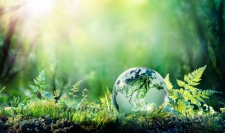 Photo by Romolo Tavani, Adobestock Photo by Romolo Tavani, Adobestock