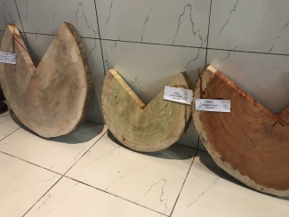 Tropical timber samples