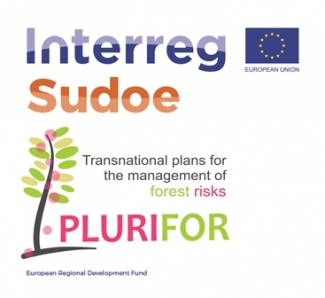 PLURIFOR logo