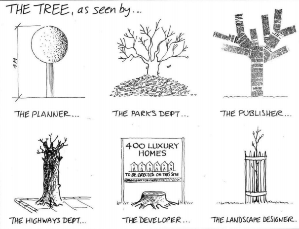 Different perspectives of a tree. Different perspectives of a tree.