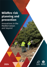 Wildfire risk planning and prevention - Innovations in the Mediterranean and beyond