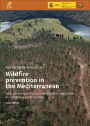 Key recommendations on wildfire prevention in the Mediterranean