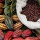 Photo of cocoa by Yai /AdobeStock