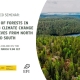Join us online for the event "The Role of Forests in Countering Climate Change" on 15 March. Photo: Julia Kivelä / Lakeland Finland.