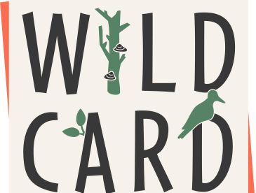 logo for WildCard project