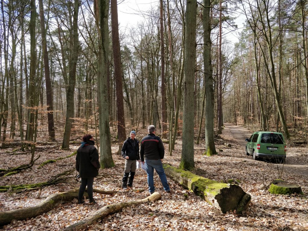 Ecosystem services Tegel forest