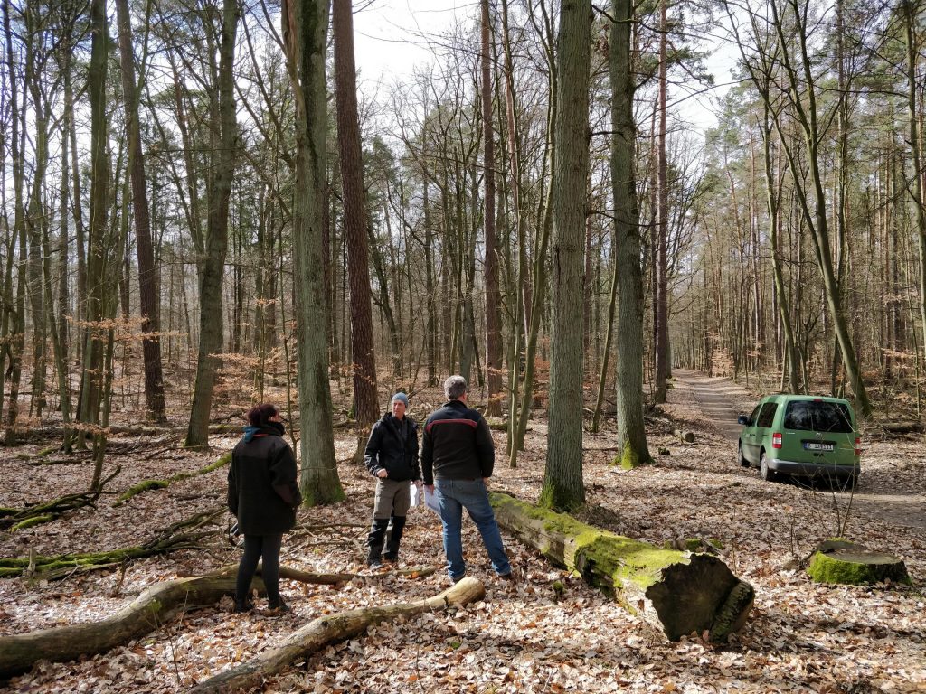 Tegel forest